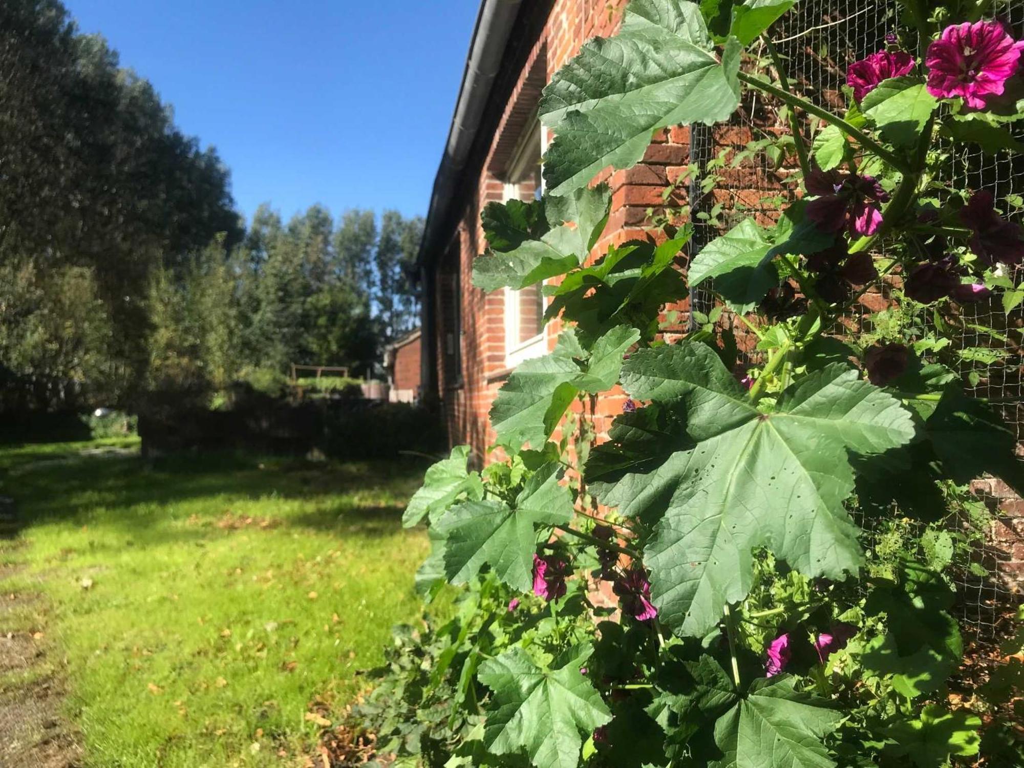 Gulfhof Friedrichsgroden Villa Carolinensiel Kültér fotó