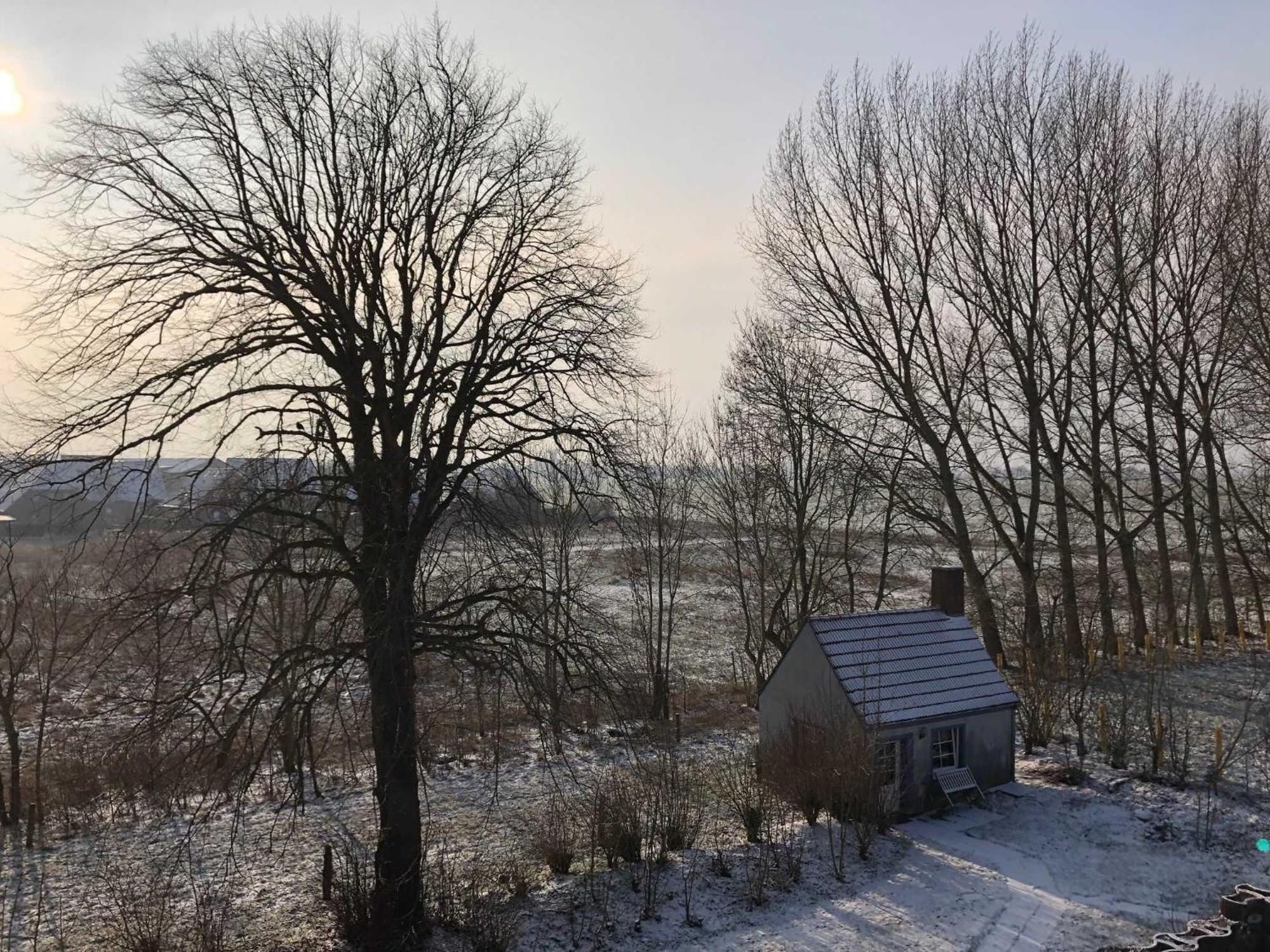 Gulfhof Friedrichsgroden Villa Carolinensiel Kültér fotó